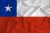 logo NUOVA ZELANDA