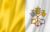 logo CITTA' DEL VATICANO