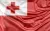 logo TONGA